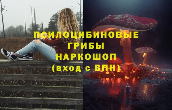 mix Бородино